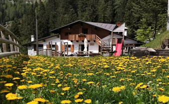 rifugio tolazzi