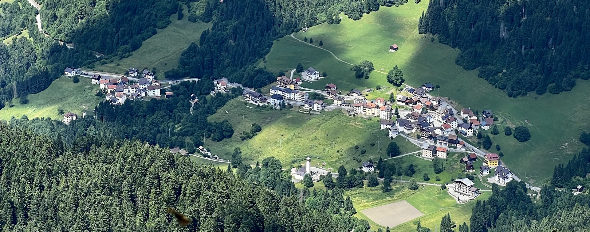 immagine di forni avoltri